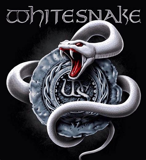 whitesnake wallpaper|white snake pictures.